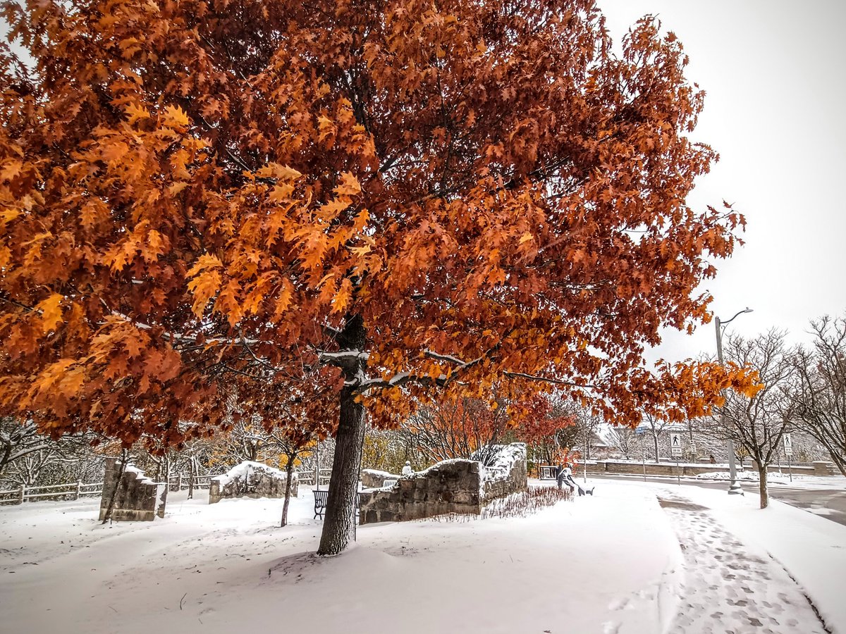 As someone who has been homeless 7 times over 23 years, I always think of those facing the rough streets, abusive or overfilled shelters or sleeping outside when the temperature drops, this country has enough to put a roof over everyone, we collectively choose not to.