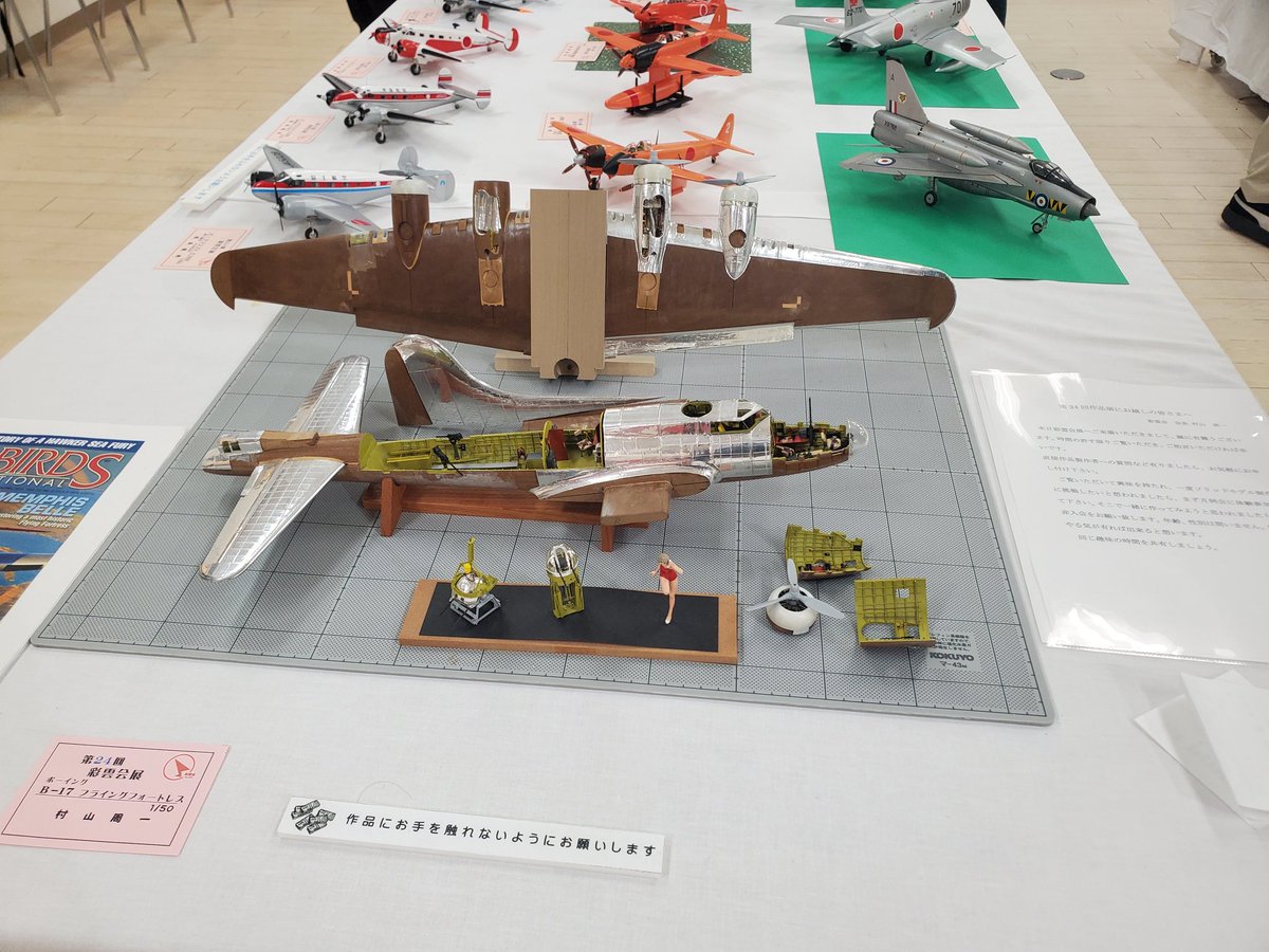 あかこぶし太郎 (@CrimzonF_Taro) / Posts / X