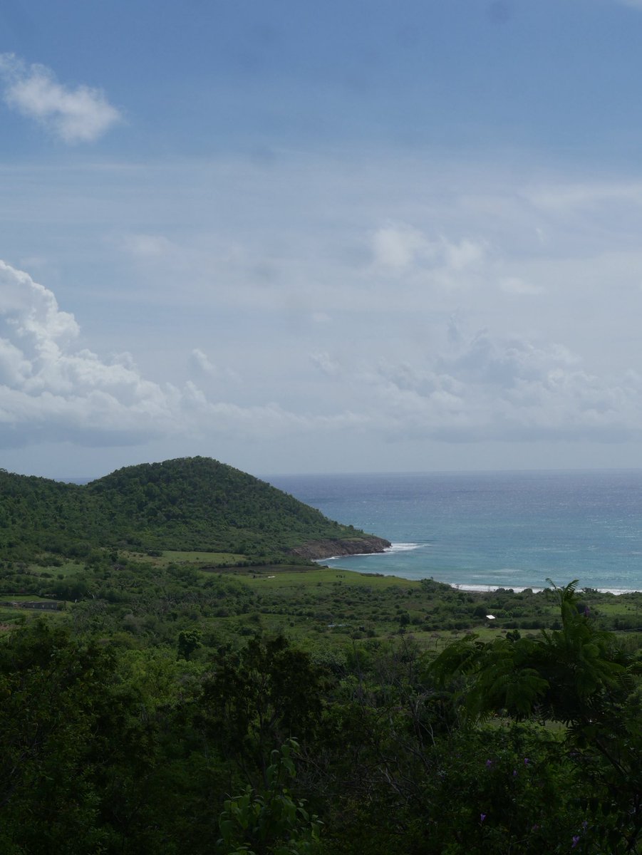 choosyperspectives tweet media