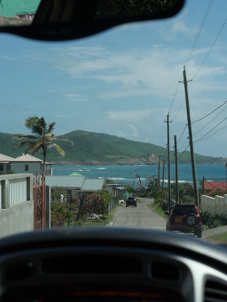 choosyperspectives tweet media