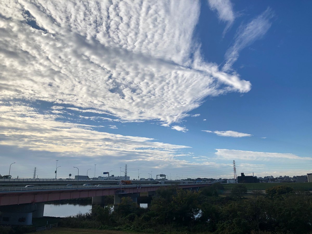 kmt_sbd's tweet image. おはきもと！　🐱です
戸田は☀️

土曜日の健康診断は無事に終了
ドキドキな結果は一ヶ月後

今日は #ハンドクリームの日
年々手荒れというかカサカサ度合いが
増してきます
良いハンドクリームないかしら
無臭が希望

本日もよろしくお願いします🍀

#企業公式が毎朝地元の天気を言い合う