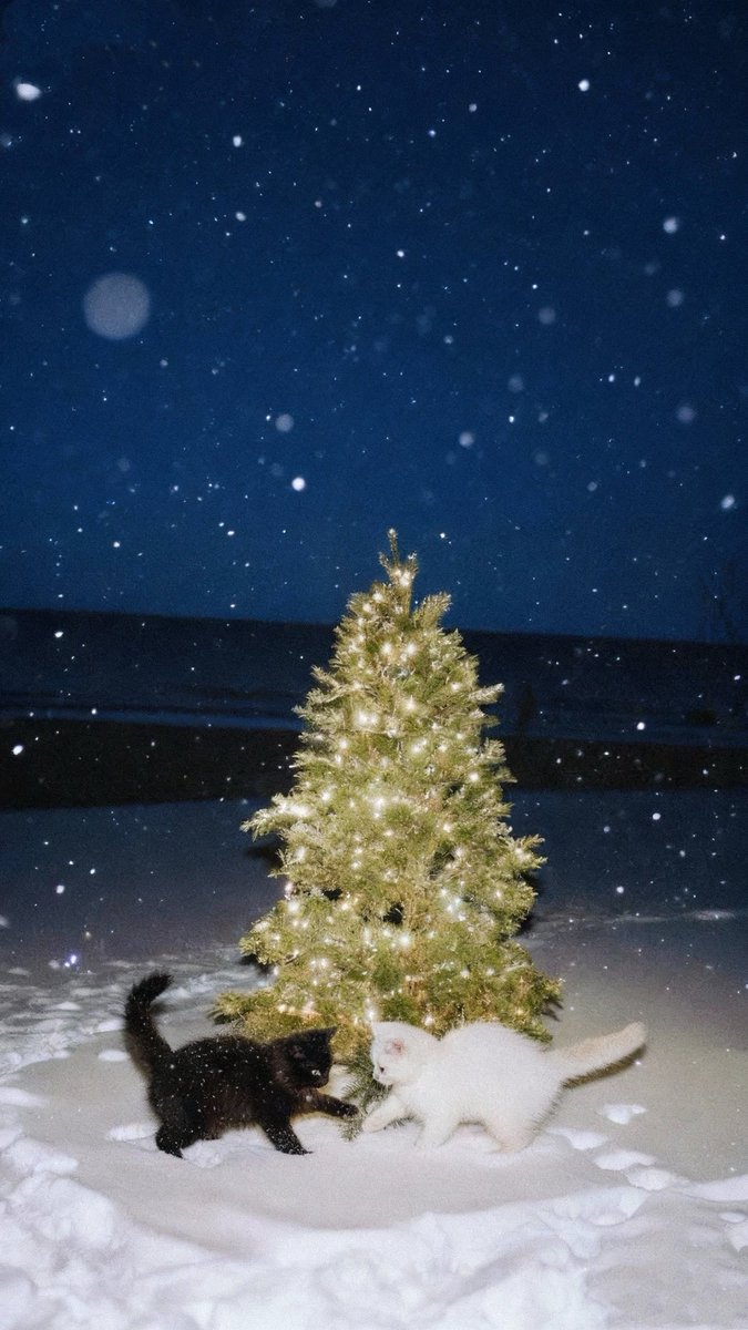 ᪗ loooove 🩵 ꢆ tweet media