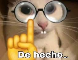 Tundr0's tweet photo. @lavilla_enzo Pochi-deidad después de poseerlo curo todas sus heridas, la enfermedad que heredó de su madre e incluso le formó un ojo y un testículo nuevo, por lo que se entiende que eliminó también todas las características que hacían a Denji NO atractivo. https://t.co/zzkrUF4VyG