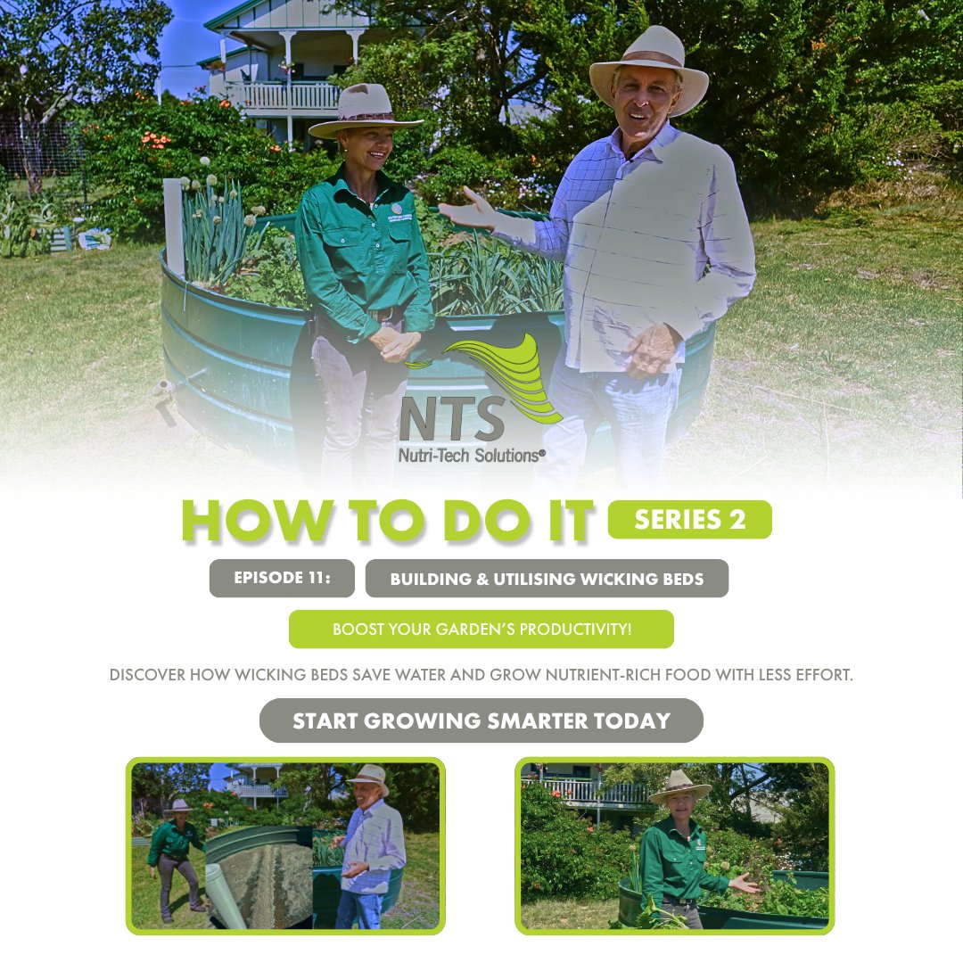 ntsaustralia's tweet image. 🌱 How to Do It Series 2 | Episode 11: Building &amp;amp; Utilising Wicking Beds

Turned a fire-damaged tank into a thriving wicking bed. Less water, more food, healthier produce!

🎥 Watch now: blog.nutri-tech.com.au/how-to-do-it-s…

#BuildingandUtilisingWickingBeds #GrowYourOwnFood #HomeGarden