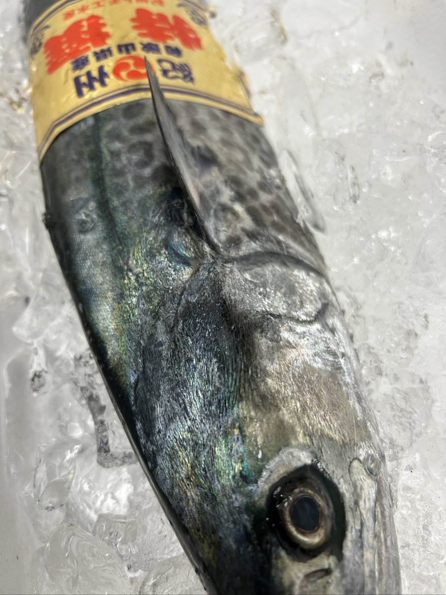 魚虎 うおとら on X