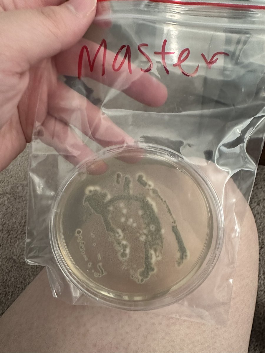 FrtingGlitter tweet media