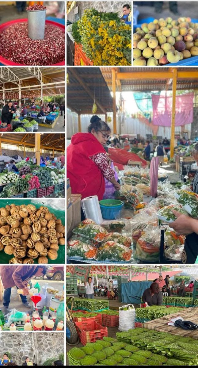 Que no exista ni un oxxo en Milpa Alta va más allá de una simple oposición, es ALIMENTACIÓN COMUNAL: cuidar la tierra, el territorio, la economía local y tradicional.