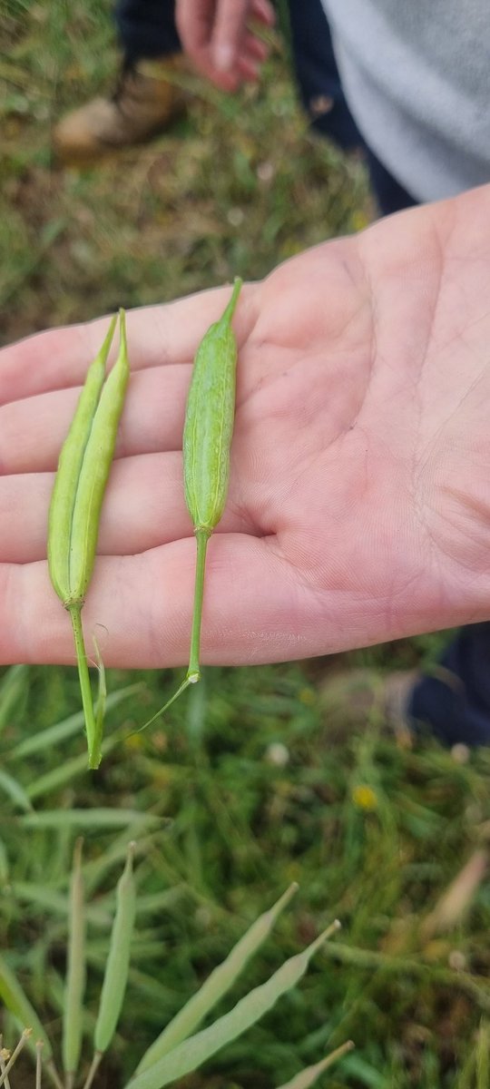 Michael Hunt tweet media