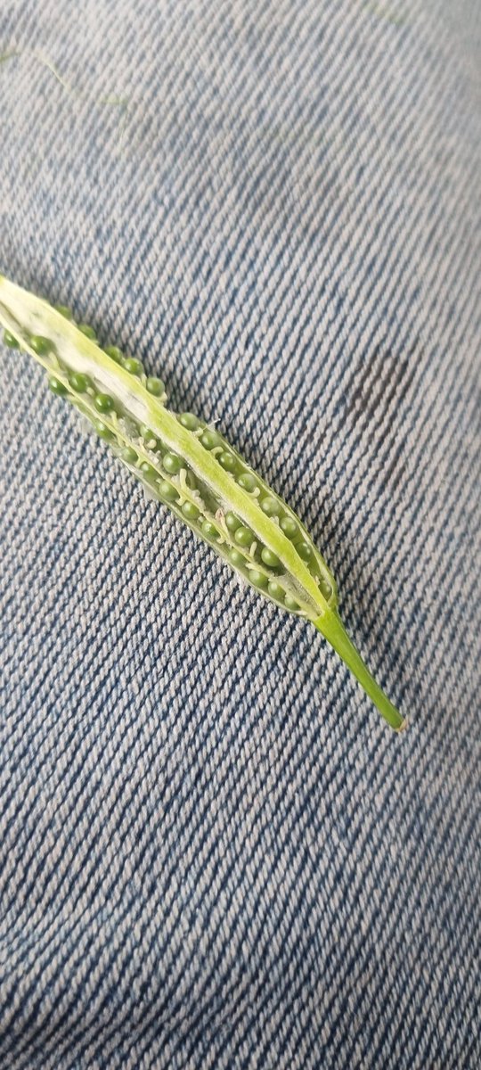 Michael Hunt tweet media