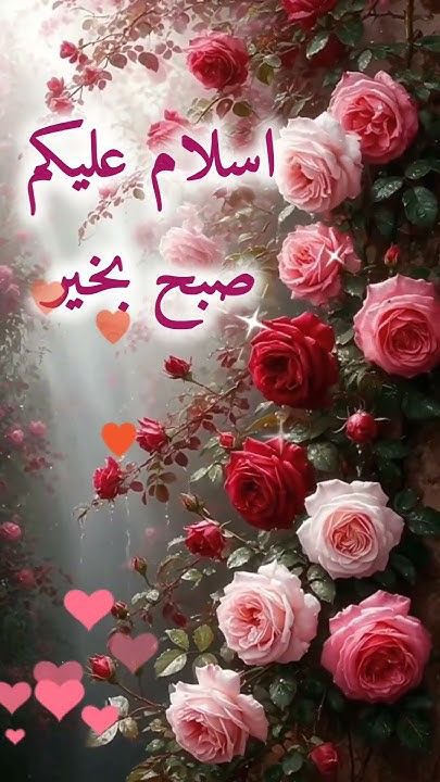 ﷽
آقا ہمارے ⁧#خاتم_النبیین_محمدﷺ⁩  پر  ⁧#درود_وسلام⁩ ❣️

سیشن درود_وقرآن
#کومل🫰___🩷⃝🤍