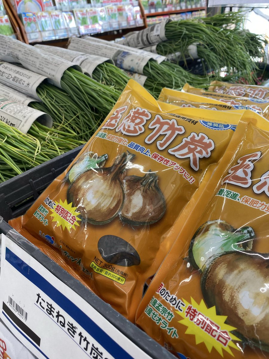 ホームセンターいない 腐りにくく安全な玉ねぎ作りには 🌟🧅【玉葱竹炭