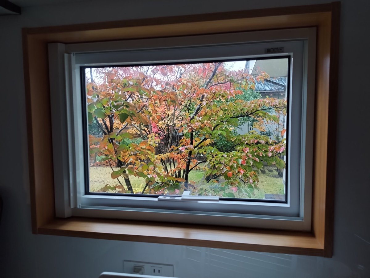 ONIWA2020's tweet photo. #新潟市西区　の我が家の庭は紅葉🍁中。キッチンから季節の移り変わりを眺めます。

1か月ほどお店の作業を休んでいましたが、
11月22日からの3日間は、
#新潟ふるさと村　#アピール館　に出店予定です。

#ハンドメイド
#ONIWA
#亀田縞 https://t.co/OcUk27DWZc