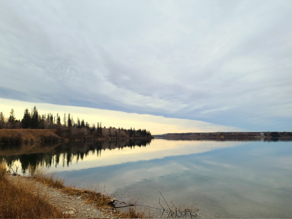 Lisa (Homer) Baril tweet media