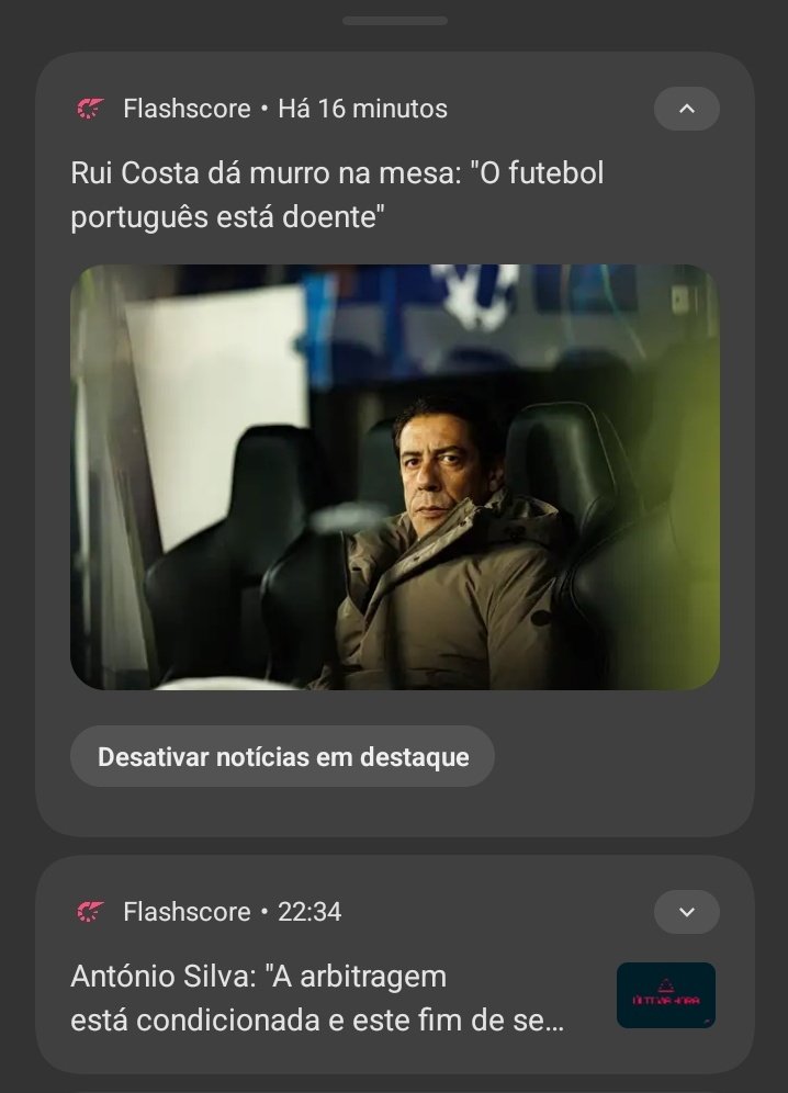 Bruno Francisco tweet media
