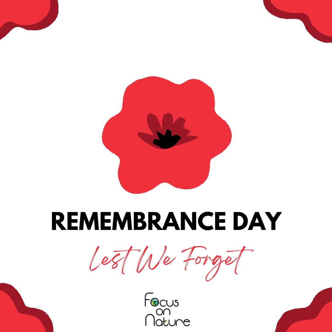 focusonnatureca's tweet image. Remembering those who served and sacrificed. We will never forget. ❤️

#focusonnature #nonprofitorganization #nonprofit
#naturephotography #nature #photography
#outdooreducation #naturebasedlearning #outdoors
#education #learnwithus #connectingchildrentophotography…