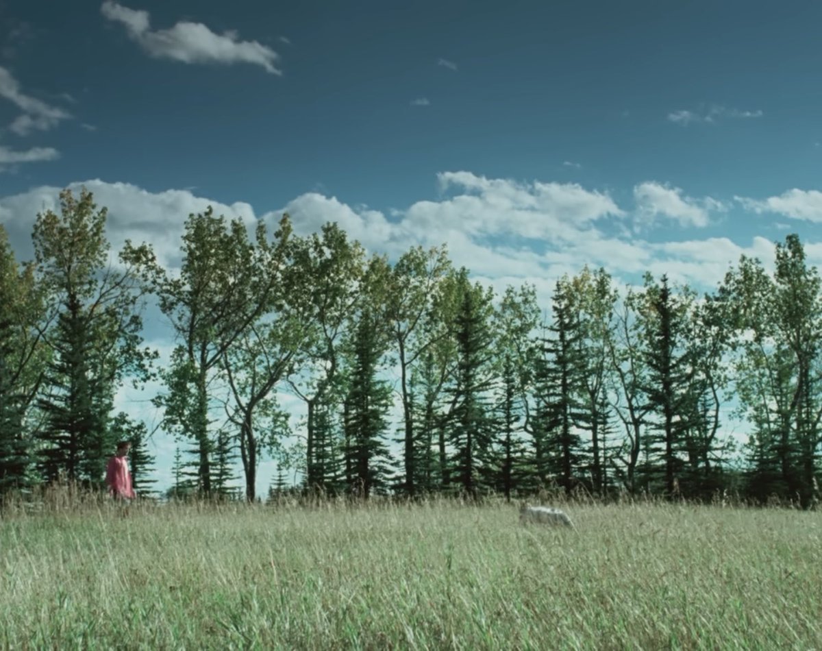 Danimalish's tweet image. DIE MY LOVE pierced me with the sharpest blade. Lynne Ramsay paints a vivid, intense, searing picture of raw emotional corporality. It’s not just a film about postnatal depression, it’s a portrait of genuine love left untended and abandoned. I left feeling hollow, but not empty.