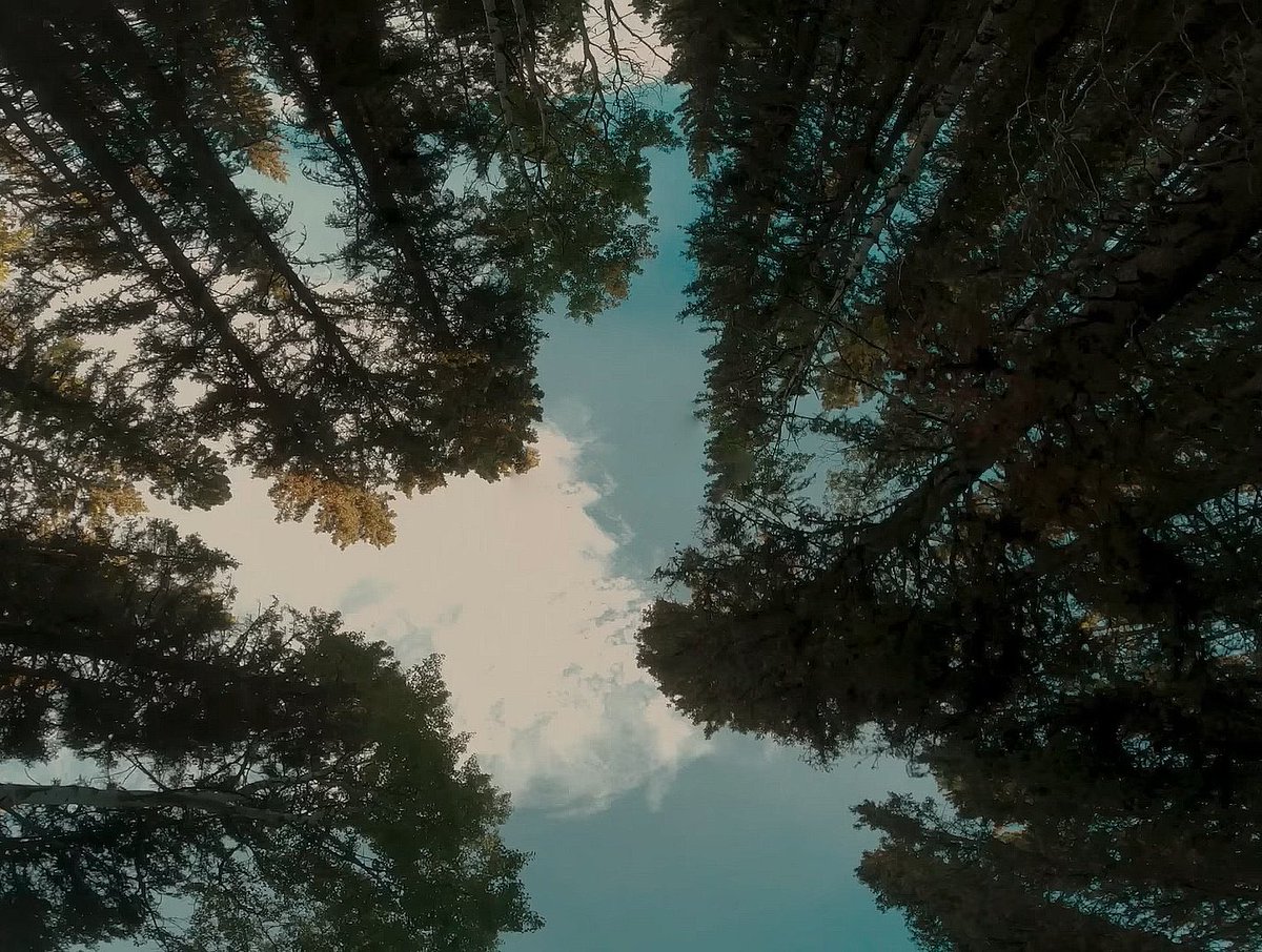 Danimalish's tweet image. DIE MY LOVE pierced me with the sharpest blade. Lynne Ramsay paints a vivid, intense, searing picture of raw emotional corporality. It’s not just a film about postnatal depression, it’s a portrait of genuine love left untended and abandoned. I left feeling hollow, but not empty.