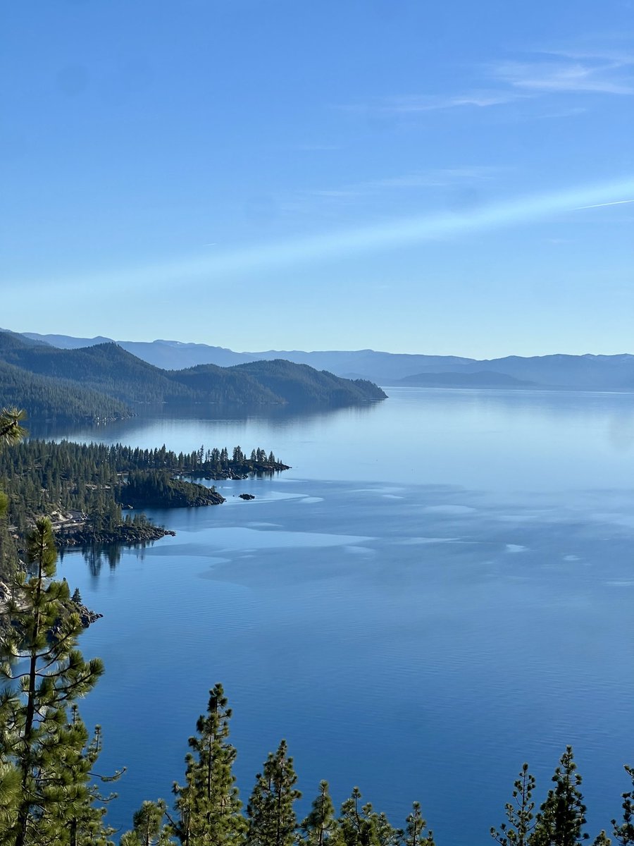 Ally Bell tweet media