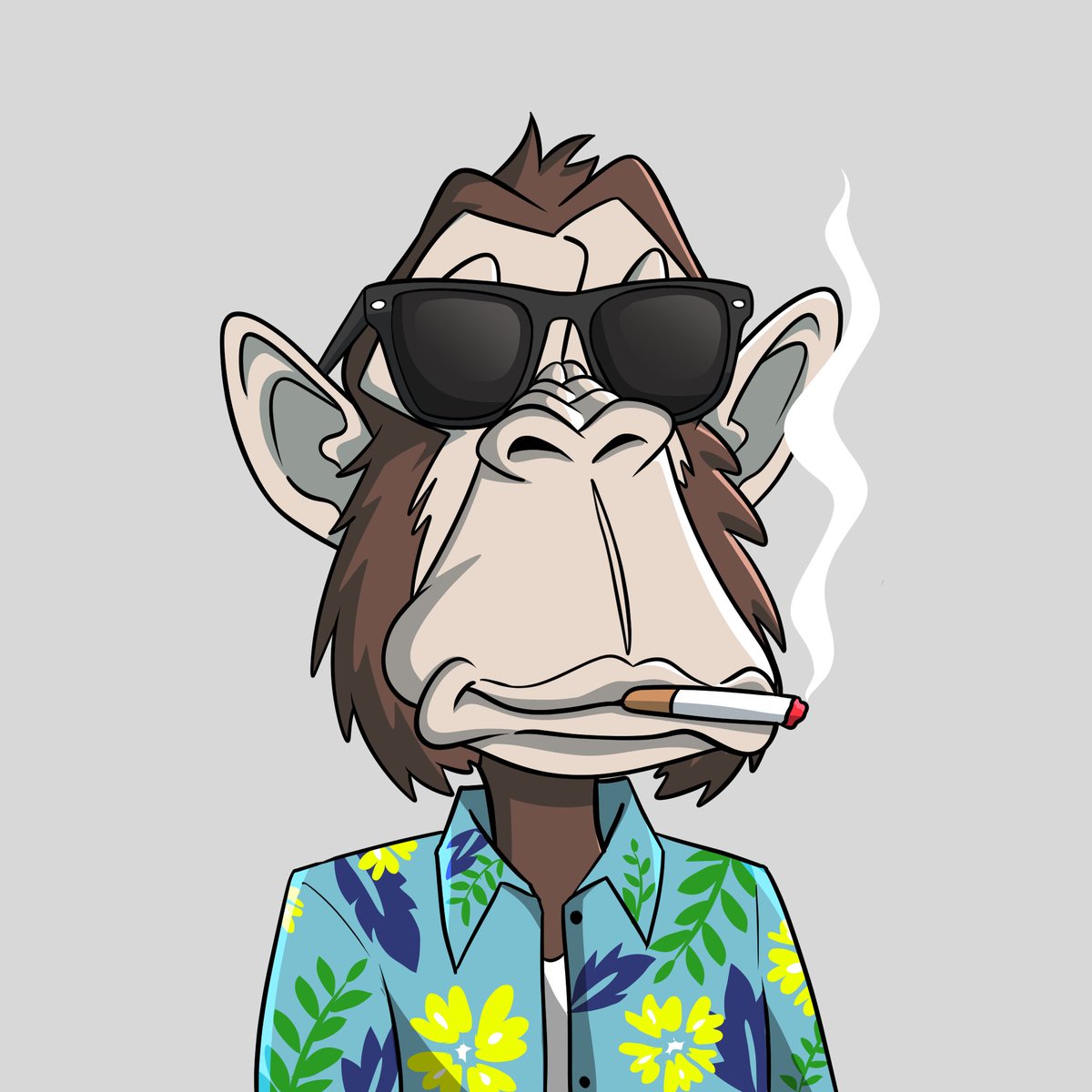 Hawaiian Shirt Apes 😎

Elon knows what’s up,
We've been rocking them for 4 years!