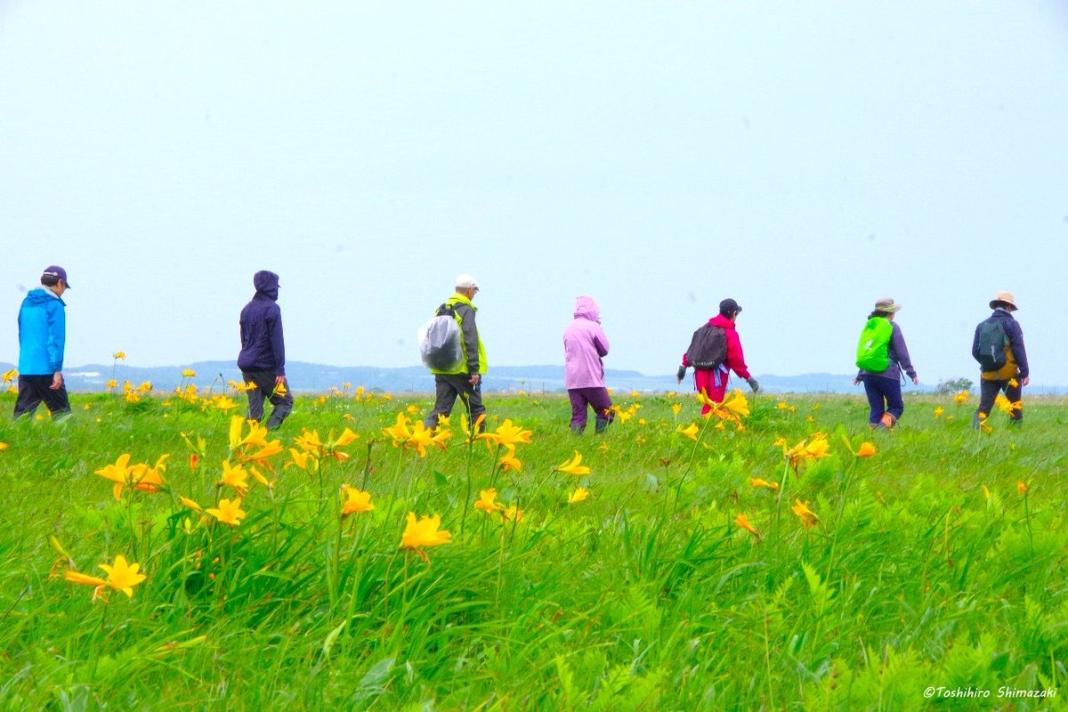 polaris_guides's tweet image. 【2025グリーンシーズンが無事に終了しました🍀】

おかげ様で4年目のグリーンシーズンも事故や怪我なく無事に終えることができました☺

弊社ツアーにご参加いただいた皆様、お世話になりました関係者の方々に深く感謝申し上げます🙇

来年のグリーンシーズンは3月下旬の渡り鳥ツアーから開始します‼