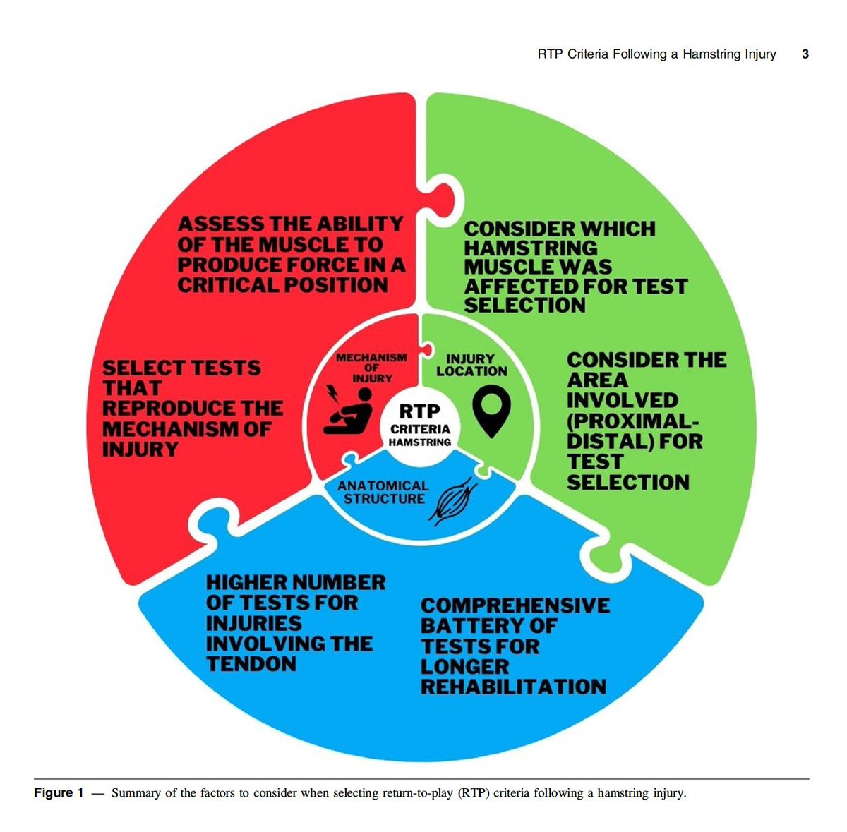 🆕"There is a need to revise how we assess RTP criteria for hamstring injuries to improve decision-making &amp; help practitioners design the most suitable RTP protocols"
➡️Relevant issue in ⚽️
👉<a href="/paolop_physio/">paolo perna</a> <a href="/MarcoBeato1/">Dr Marco Beato</a> et al, 2025 🇮🇹
📂Open Access: journals.humankinetics.com/view/journals/…