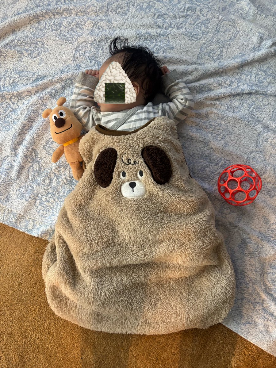 わんちゃん、だ〜いすき🫶に仕込みます
#雑種犬