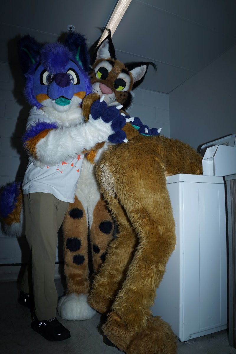 Wait! Help I'm stuck and <a href="/FlowdyHusky/">Flowdy 🐶🦺 🔜 BKB</a> and <a href="/toastedlynx/">Toasted Lynx</a> aren't helping!