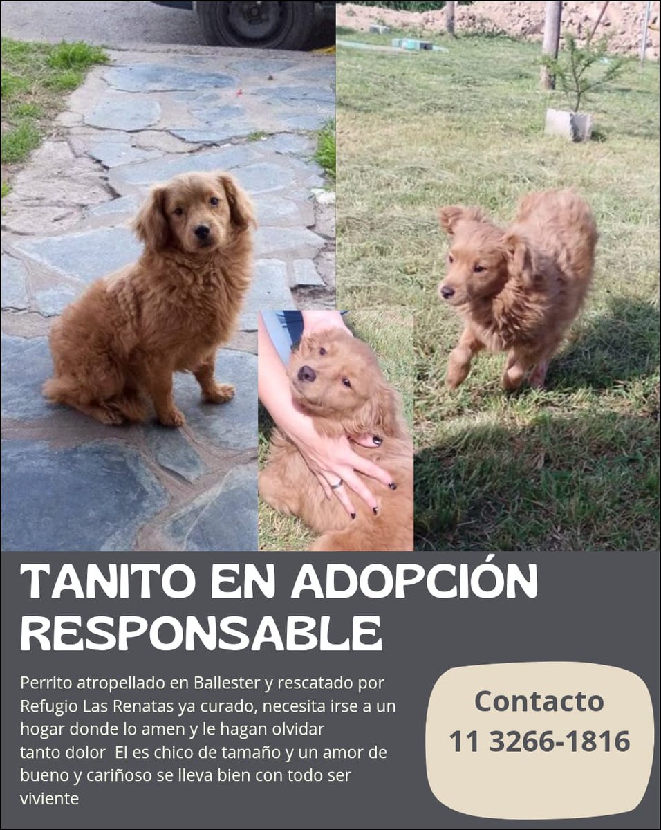 patripeyrou's tweet photo. Difundimos https://t.co/Pw0MkkYoYR