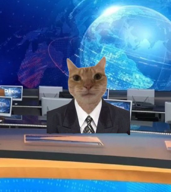 fazeno a cobertura da primeira flor do cacto aqui d ksa abrino