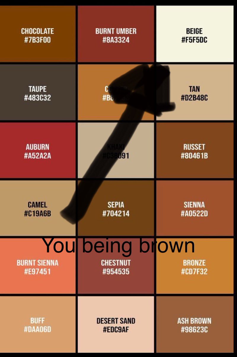 You’re brown. Hope this helps #maga