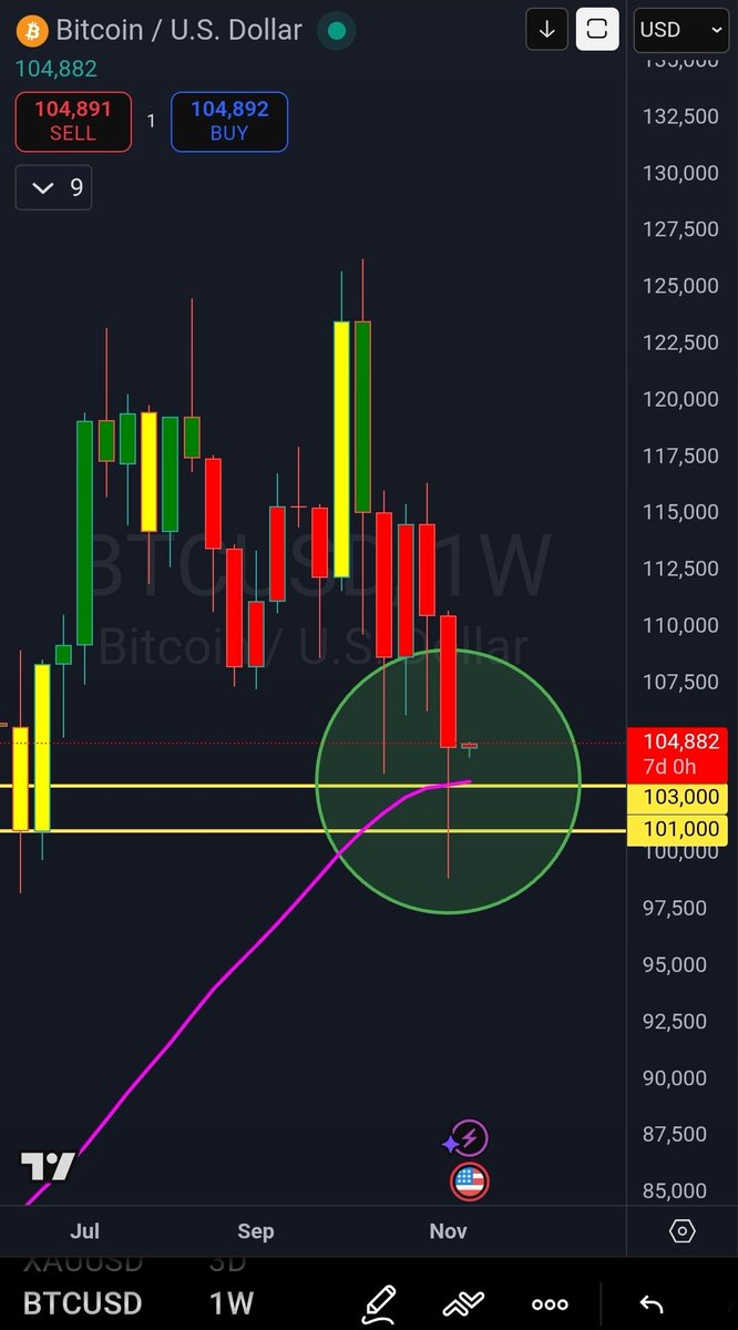 Luka Scientia tweet media
