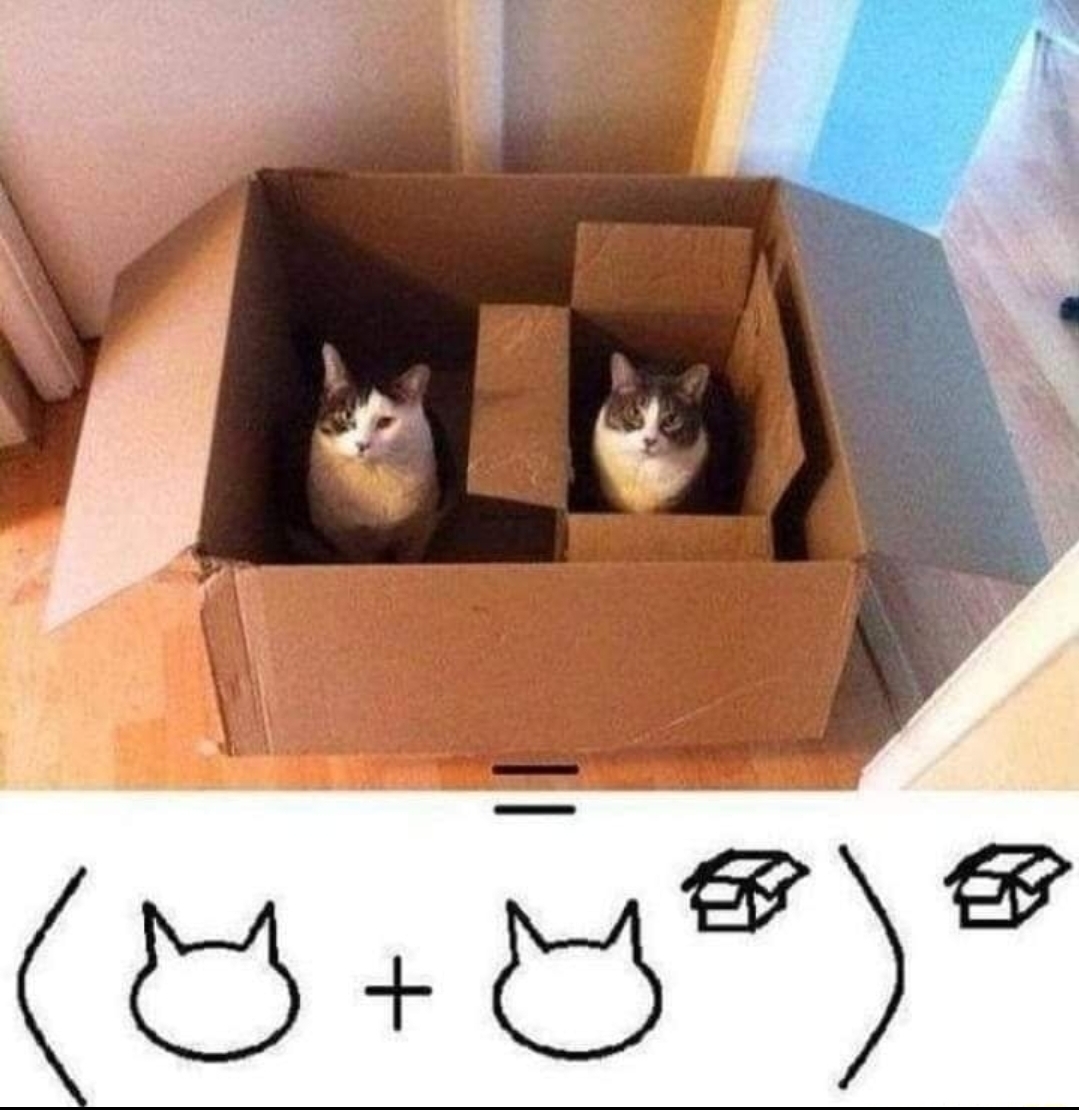 Catsillyness's tweet photo. https://t.co/mRuTUlg4Nh