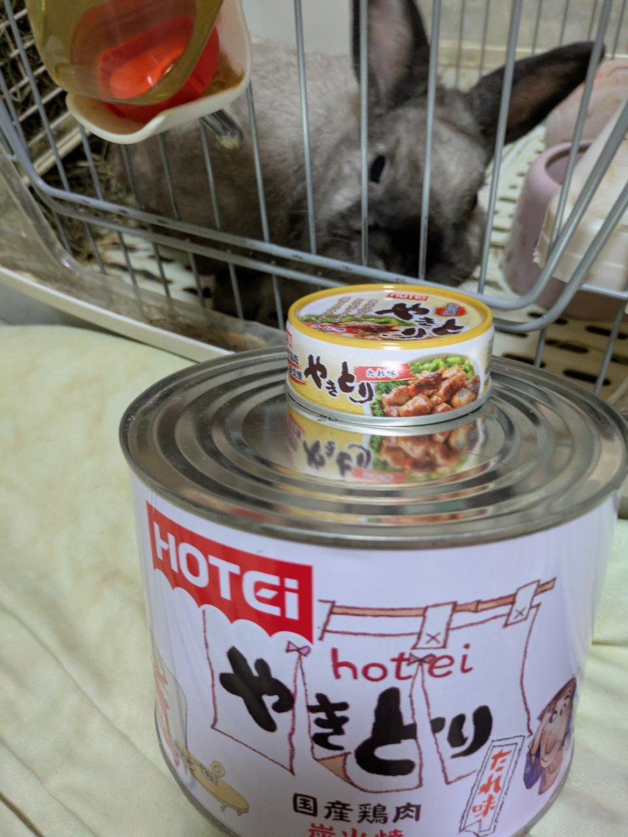 曽根っち (@aKYFTM3zEhfdUIO) / Posts / X