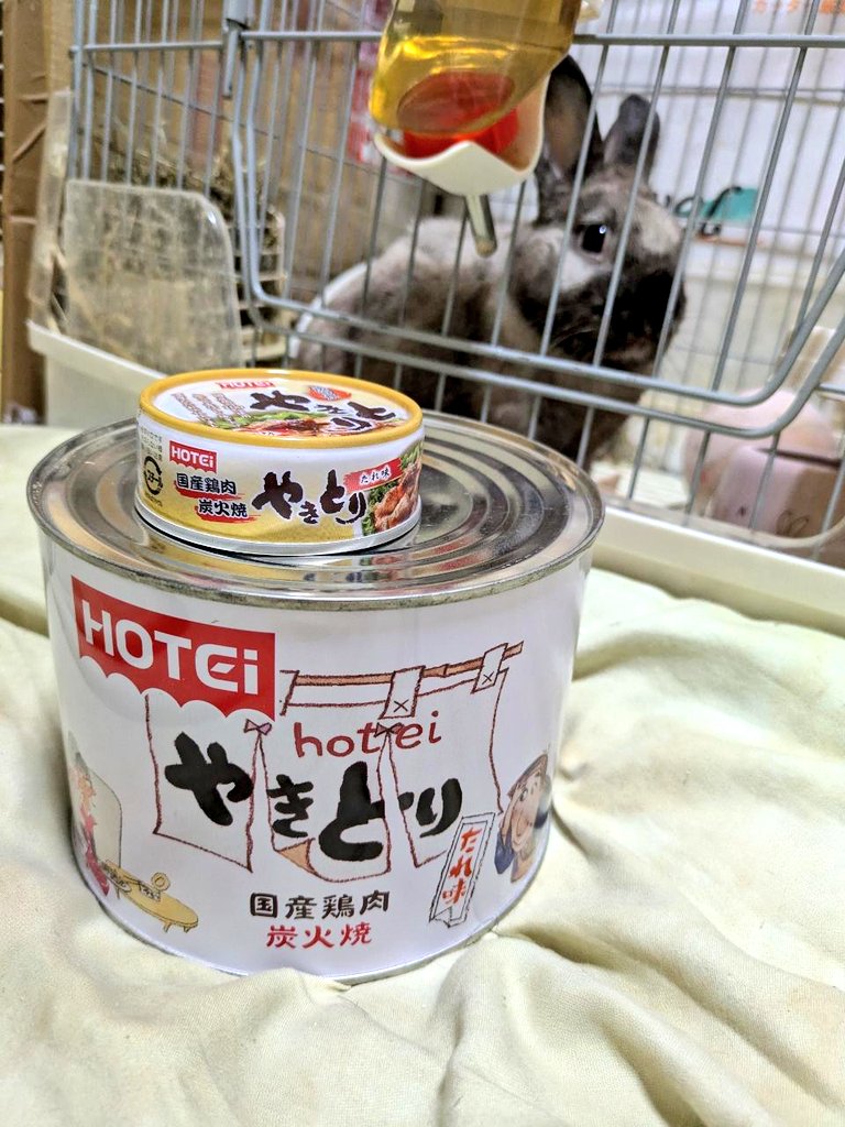 曽根っち (@aKYFTM3zEhfdUIO) / Posts / X