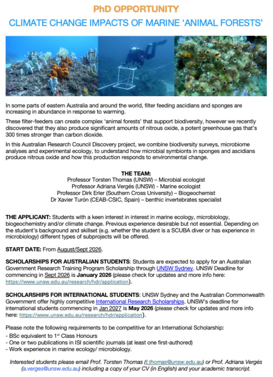 Dr Adriana Vergés tweet media