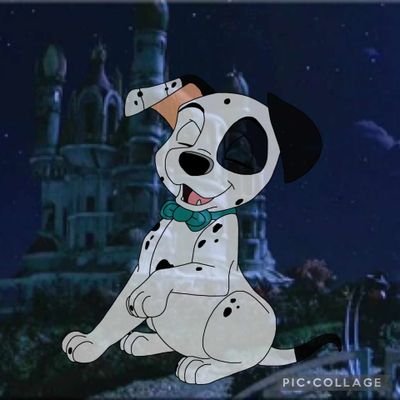 CasperDalmati's tweet image. Hello, everyone my name is Casper, I&apos;m one of @PrissyPuppy_&apos;s and @CorgiLighting__&apos;s sons, I have 2 brothers, and 5 sisters. My favorite things are disappearing as I have the ability to vanish, I also love messing with the light switches. 

#Ships W/ @OneDivaPuppy 
#101Dalmatians