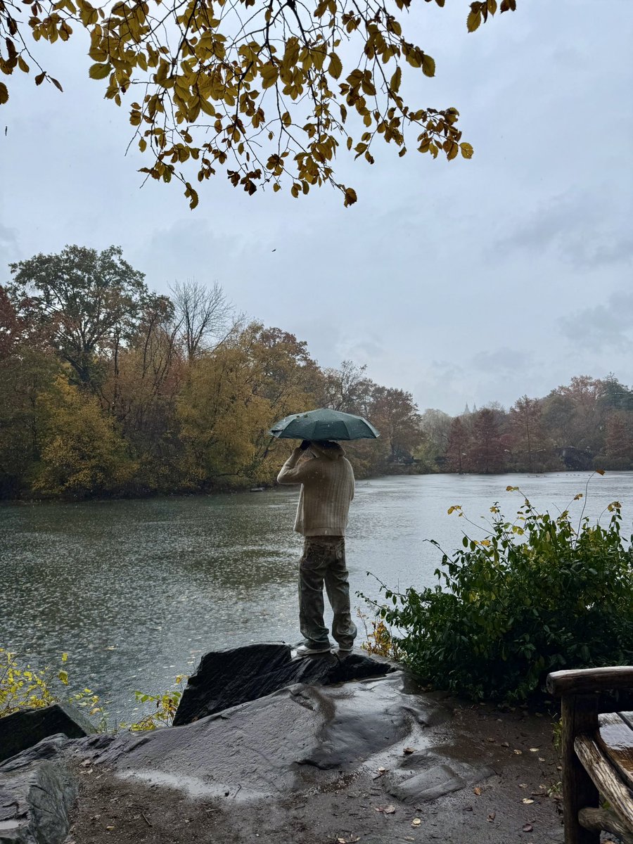 stacks stiggavell tweet media