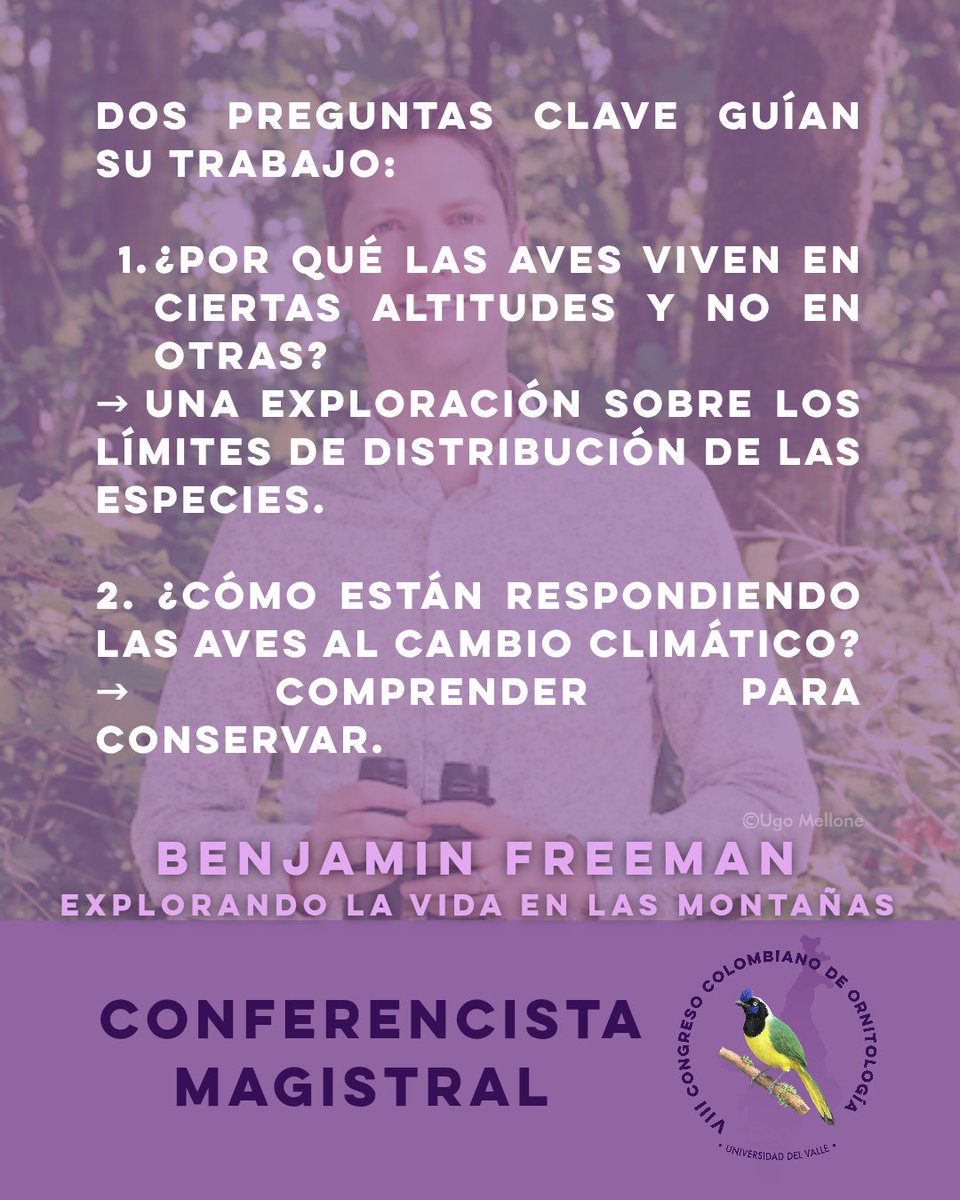 🏔️ Aves, montañas y cambio climático.
El investigador Benjamin Freeman estudia cómo las aves distribuyen sus poblaciones en gradientes altitudinales y cómo responden al calentamiento global.
Lo conocerás en el #CCO2025.

#OrnitologíaColombiana #CambioClimático #Biodiversidad #ACO