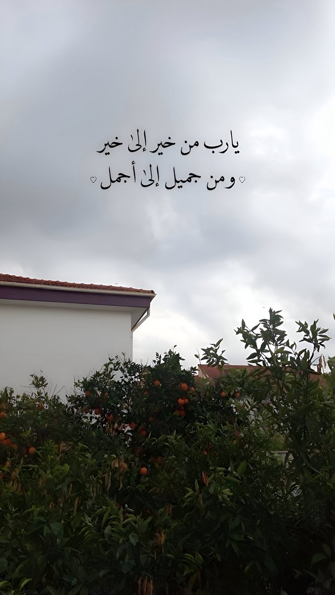 zli__'s tweet image. 