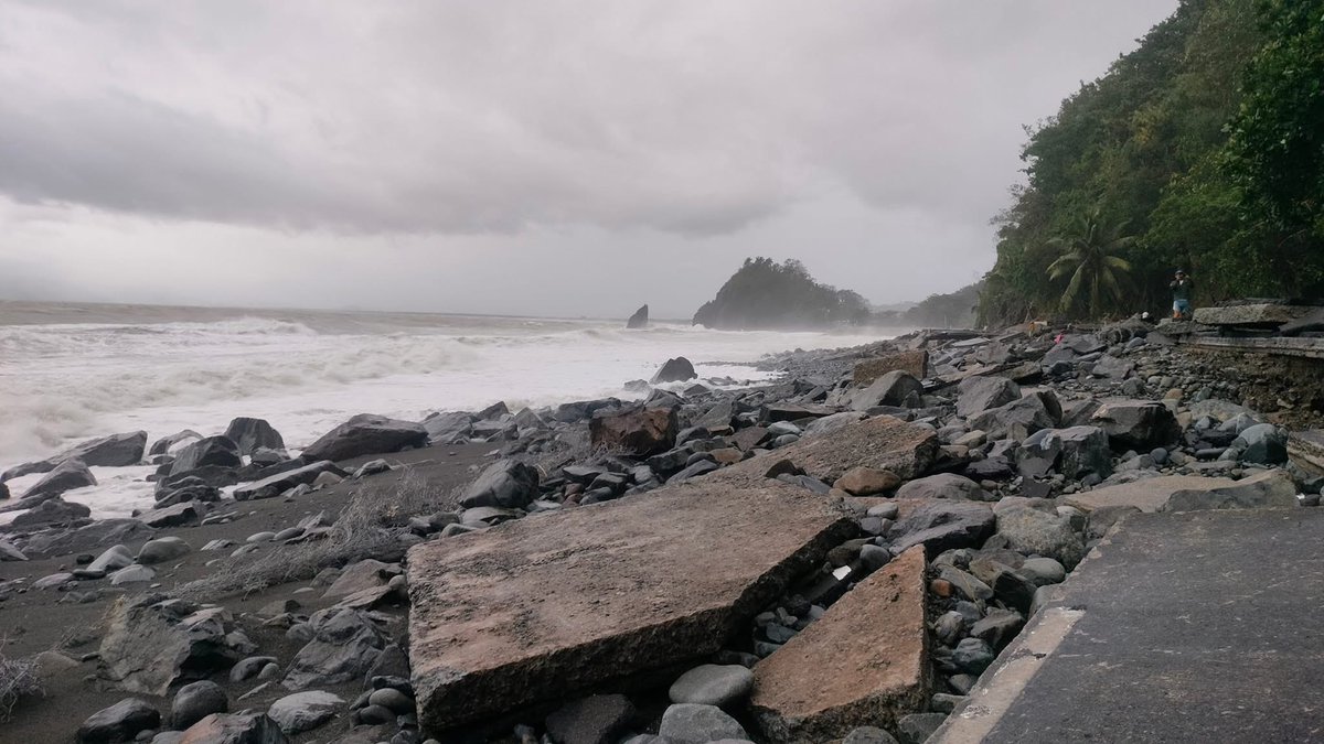 Bubblegum tweet media