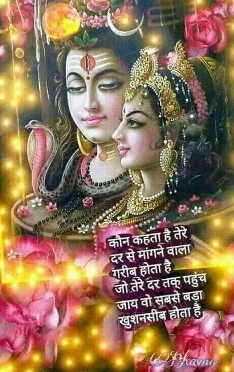 शुभ प्रभात 
राधे राधे जय श्री कृष्णा 
 जय गौरी शंकर महादेव 
🌿🌺🌿🌺🌿🌺🌿🌺🌿