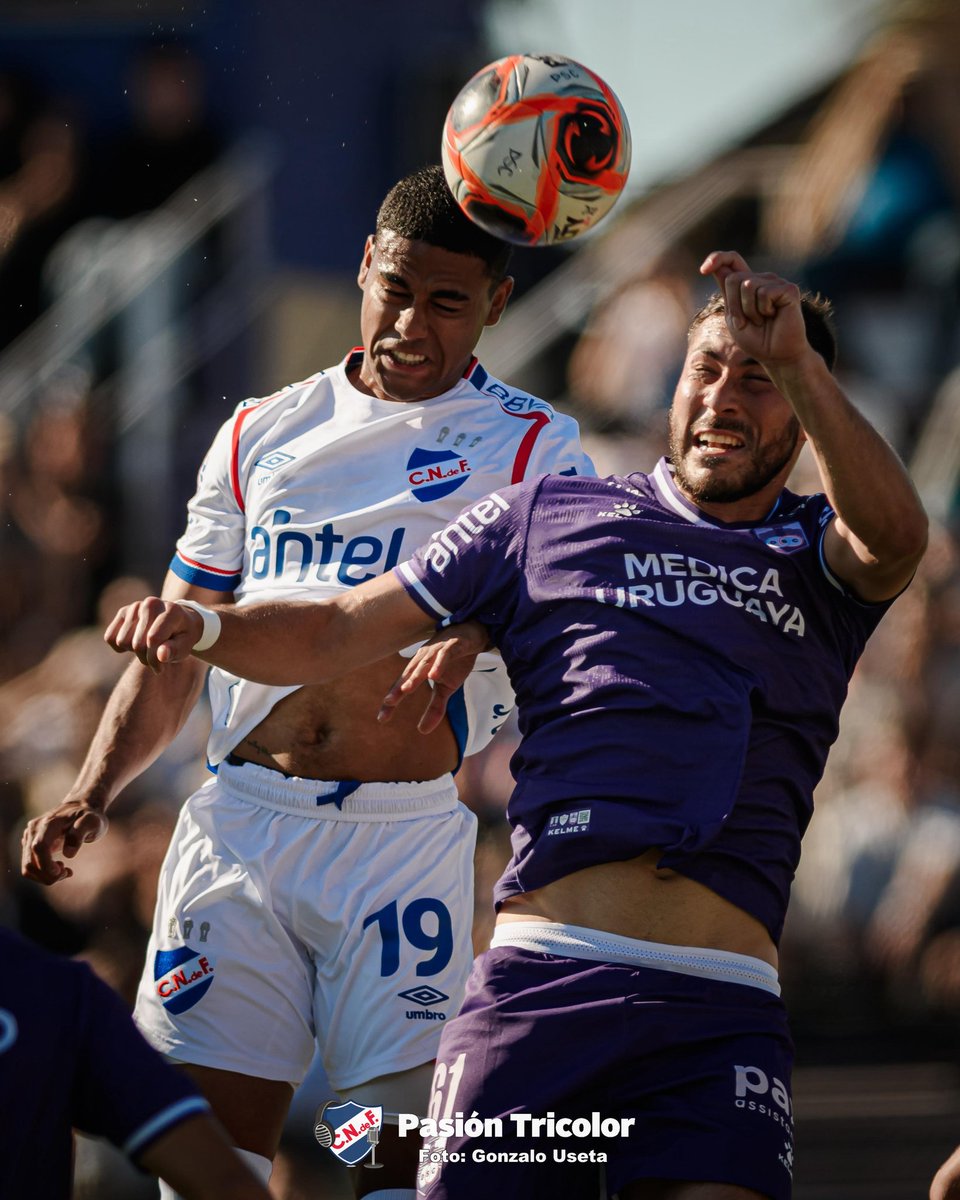 PASIÓN TRICOLOR tweet media