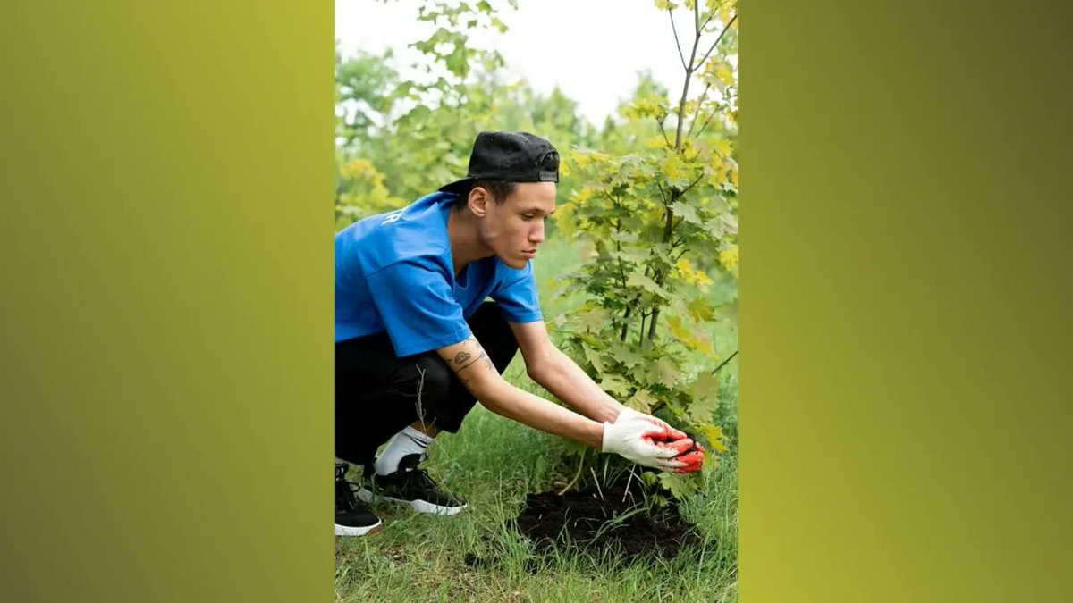 elixir_john's tweet image. This image says it all 🌿
It starts with you. Make a difference.

View the post 👉 app.ecox.network/community/post…
Earn GREEN on @ECOX_ECOToEarn while you act:
app.ecox.network/register?refCo…

#ECOX #GREEN #ECO_TO_EARN