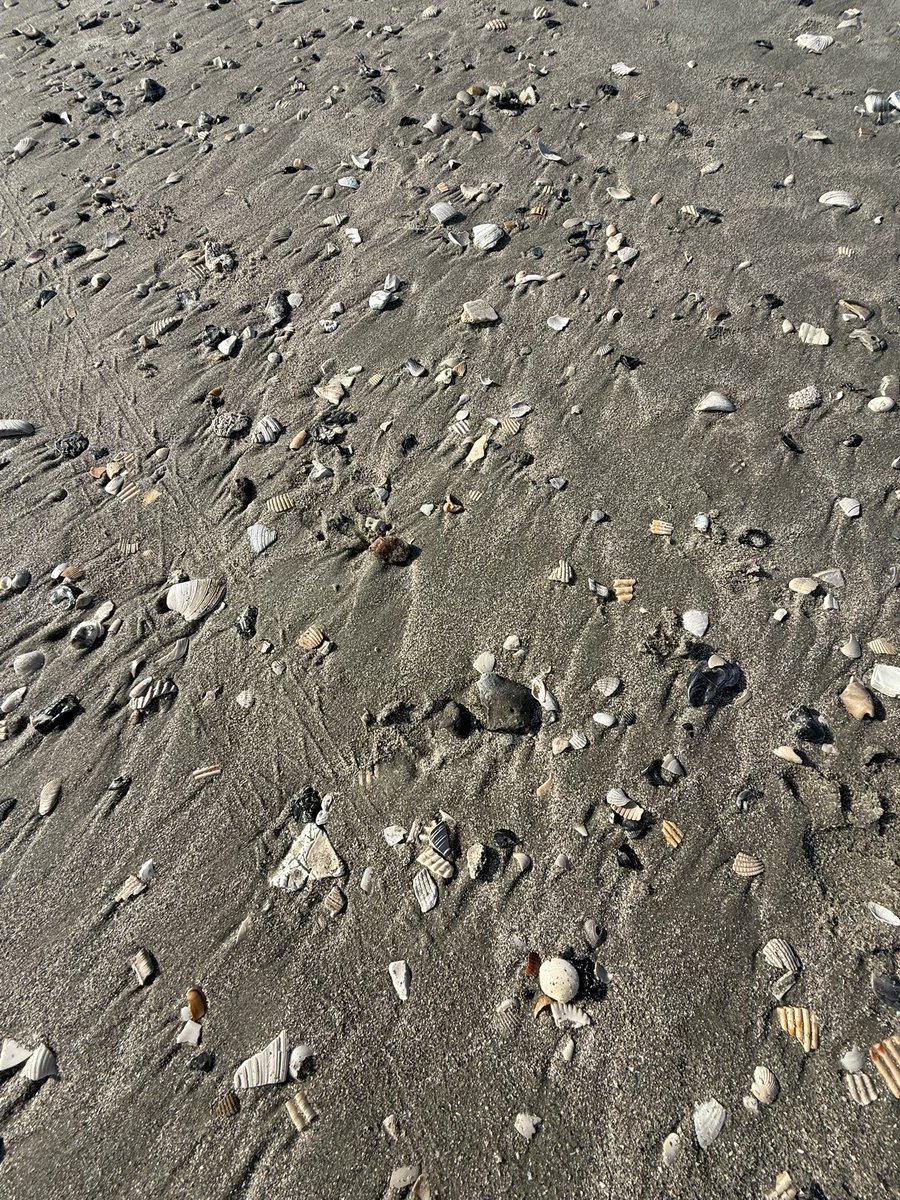 Iteach2ndgrade1's tweet image. Loving our little weekend getaway! Treat yourself to some downtime! #SelfCare #teacher ❤️🍎🐚