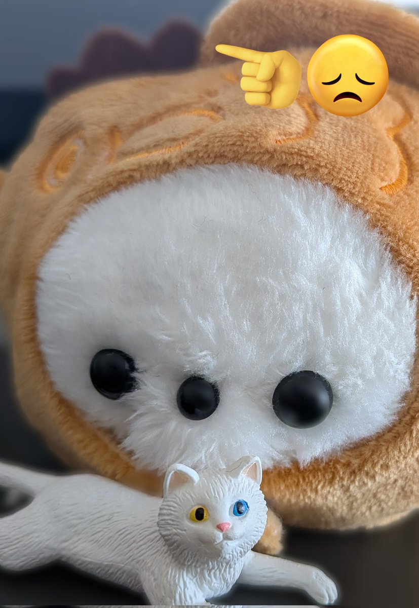 忙しいときは、かわいいを、目の前に、召喚！！（あんこが背景に溶けてしまった）