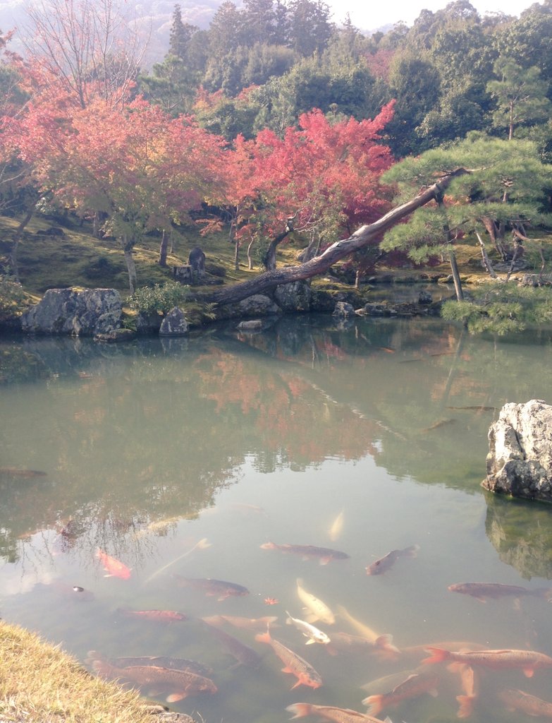 sysadgroup's tweet image. おはようございます🍛
昨日は雨が降っていましたが今日は朝から快晴でとても気持ちが良いです🥰🍁
#企業公式秋のフォロー祭り
#企業公式相互フォロー
#企業公式が朝の挨拶を言い合う
#企業公式が毎朝地元の天気を言い合う
#企業公式さんと繋がりたい
11月もあっという間に3分の1が経過🍂…