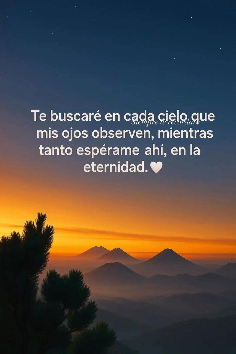 MabaTouch's tweet image. 🥀🕊💔