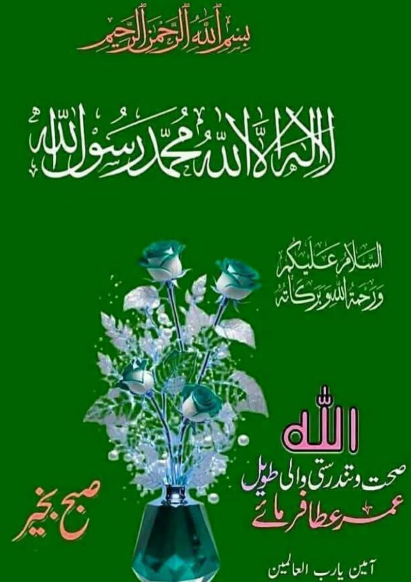 السلام علیکم ورحمۃ اللہ و برکاتہ ❤️🌹
صبح بخیر 💚🌷