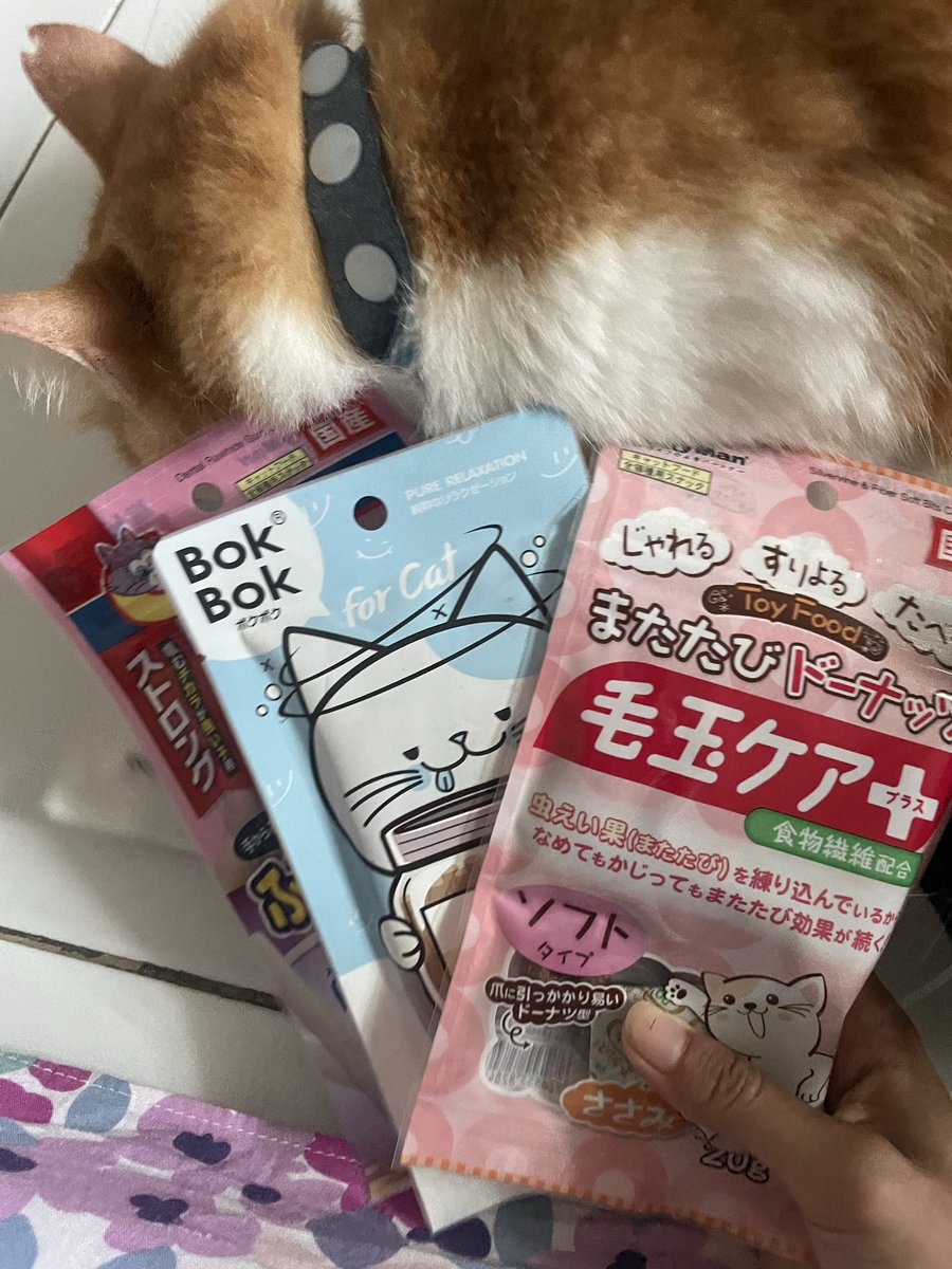 Jalan2 ke pet kingdom semalem,
Snack2 ini buy 1 get 1 semua🤣 bok bok itu matatabi stick sm catnip sihh bukan snek. Kesukaannya anak2 sini