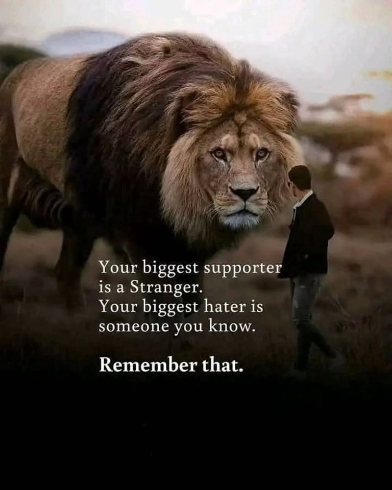 mindfulmaven_'s tweet image. 